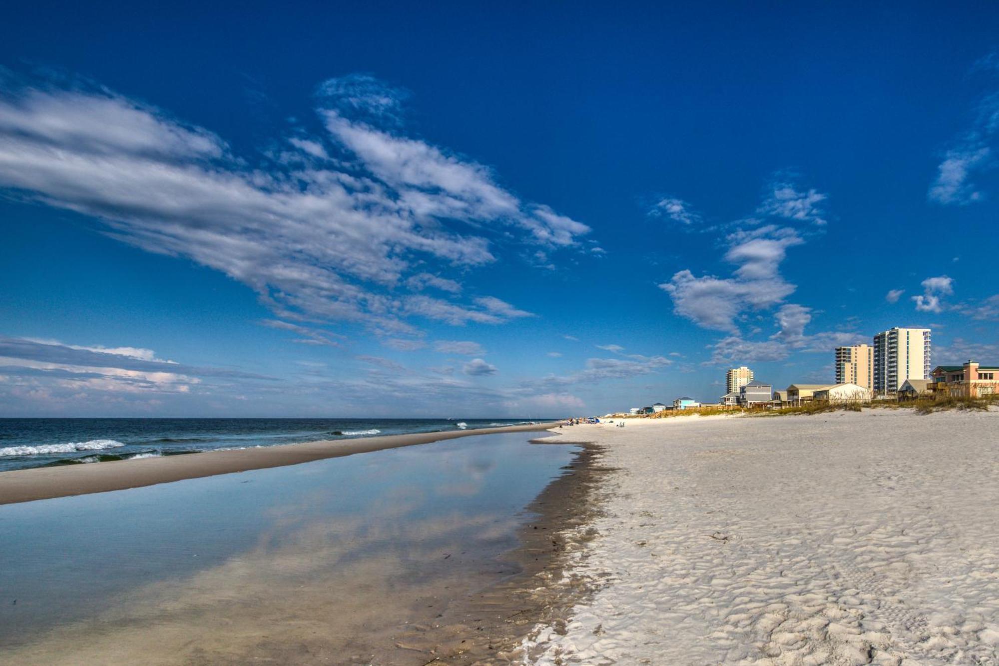 Gulf Shores Surf & Racquet Club Condos II Room photo